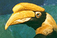 photo of the webmaster, retouched by Carlos Castaneda
